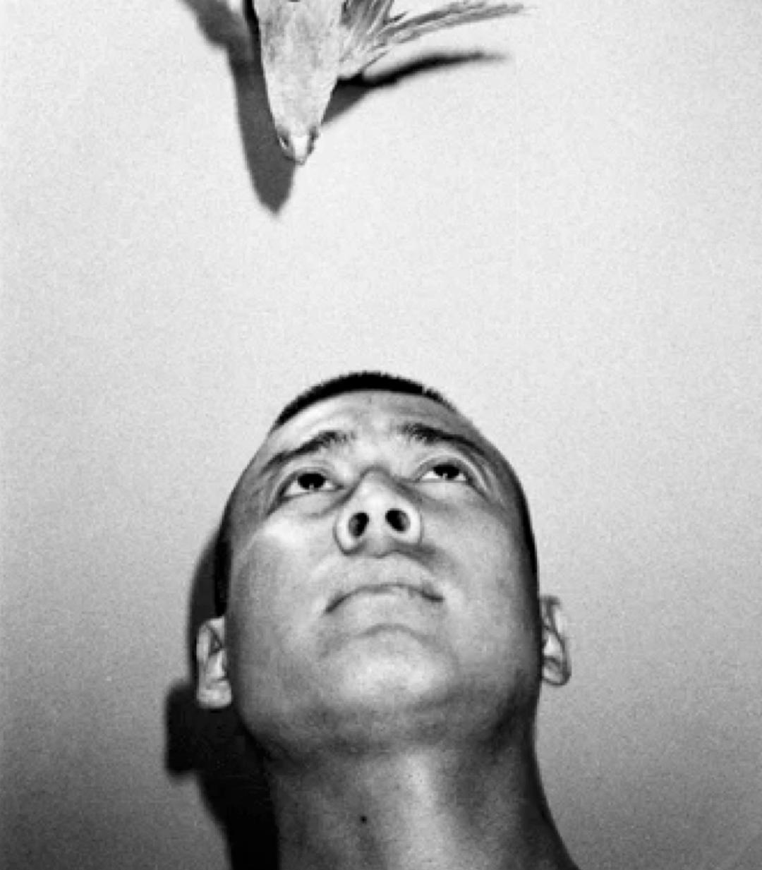 Lin Zhipeng no. 223